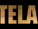 wasteland-2-logo-ver-18